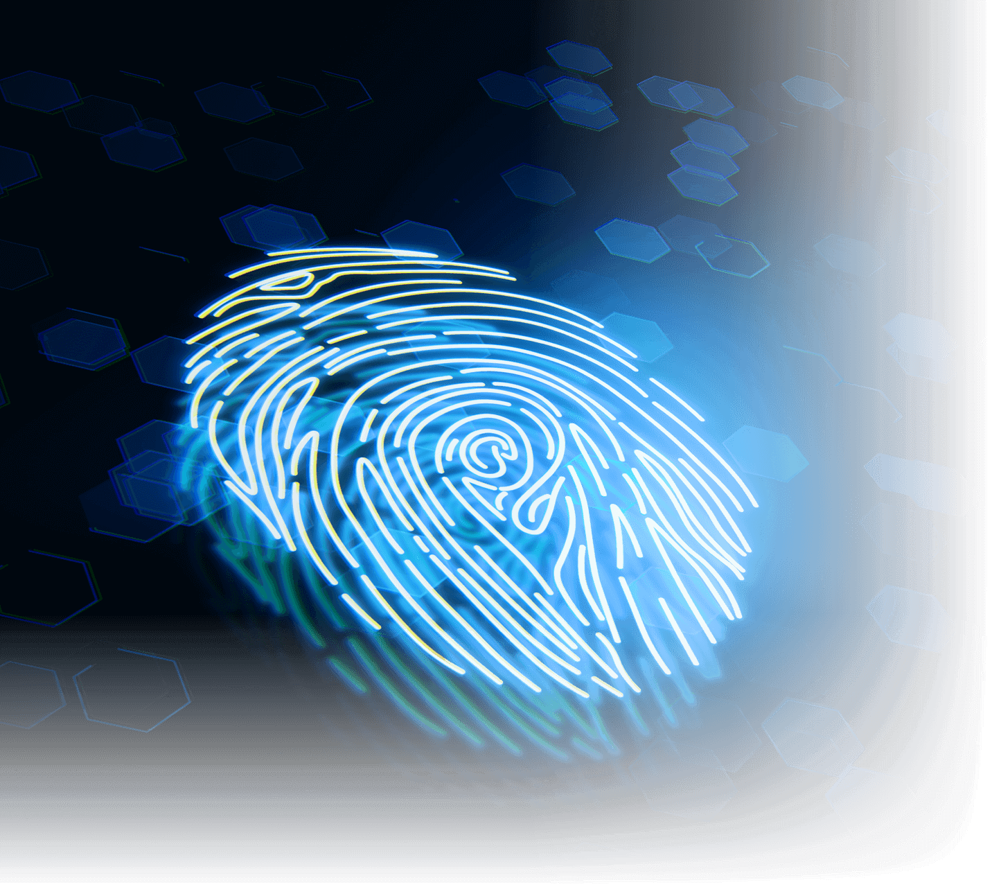 a glowing blue fingerprint on a dark background - from NPI’s investigation services